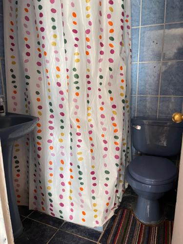 a bathroom with a toilet and a shower curtain at Amanda in Calama