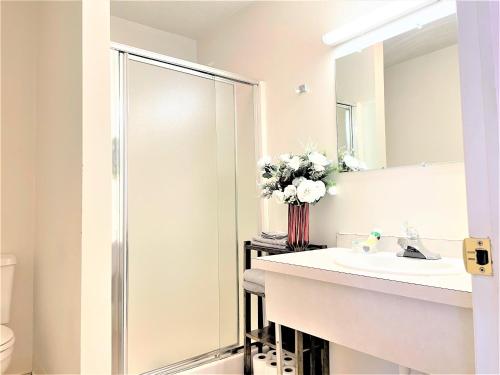a bathroom with a sink and a mirror at Bittersweet Inn in Paulding