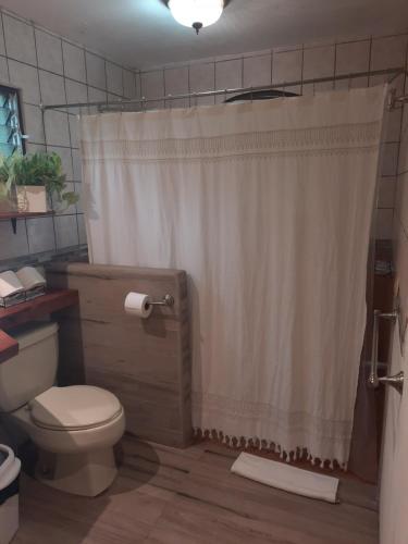 a bathroom with a toilet and a shower with a curtain at Casa Vista del Valle in Barrio Jesús