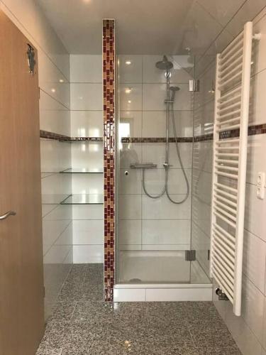 a bathroom with a shower with a glass door at Apartment am See in Weiherhammer