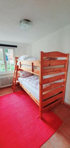 two bunk beds in a room with a red rug at Bocasa Bodman in Bodman-Ludwigshafen