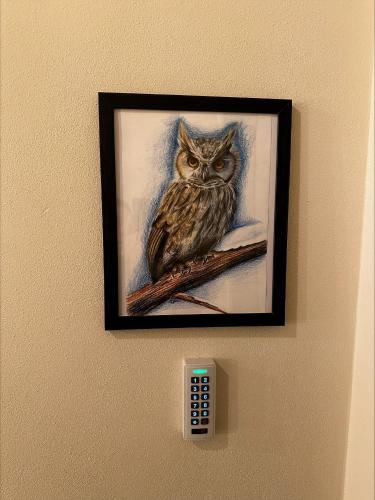 a picture of an owl hanging on a wall at Il Fienile in Magliano Alpi