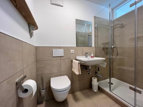 a bathroom with a toilet and a sink and a shower at Bodensee-Liebe in Überlingen