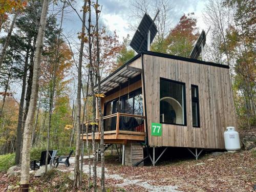 Cabin Zoobox 77 – Photos 3