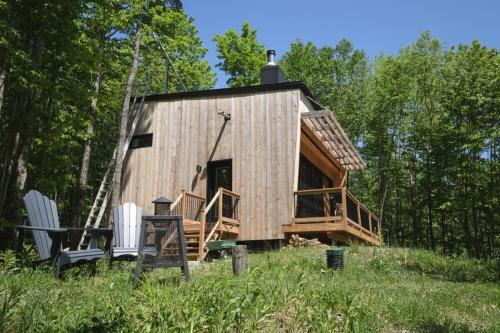 イーストマンにあるCabin Zoobox 75のギャラリーの写真