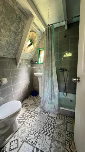 a bathroom with a toilet and a sink and a shower at Refugio de bosque altos de ñancul in Panguipulli