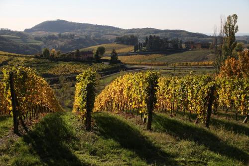 Φωτογραφία από το άλμπουμ του Villa Pallavicini B&B σε Serravalle Scrivia