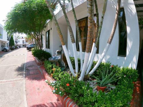 eine Reihe von Palmen und Blumen vor einem Gebäude in der Unterkunft VP Casa Condominio con Aire Acon in Neiva