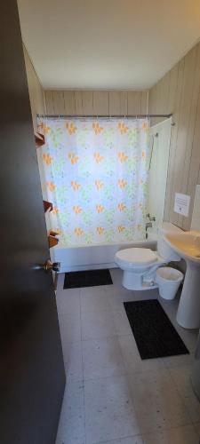 a bathroom with two toilets and a shower curtain at Cottages at Katawoda in Dillon