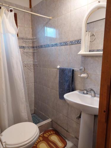 a small bathroom with a toilet and a sink at DonAldo Dto in Ushuaia