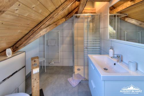een badkamer met een wastafel en een spiegel bij Auszeit im Harz - Haus 2 Wohnung 5 in Schierke