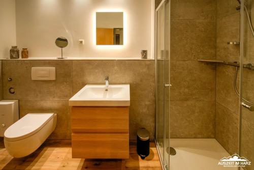 ein Bad mit einem Waschbecken, einem WC und einer Dusche in der Unterkunft Auszeit-im-Harz Haus 5 Wohnung 32 in Stiege