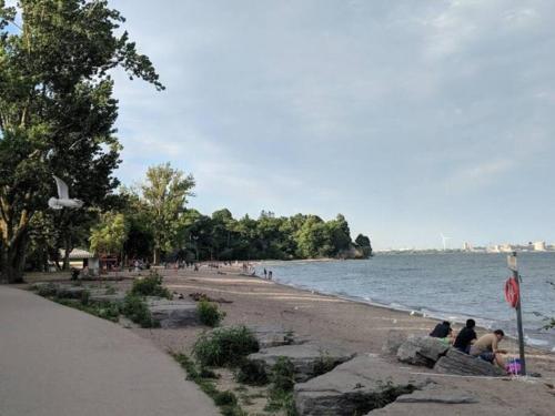 a group of people sitting on the rocks on the beach at Stylish 2BR: w/free parking & streaming! in Pickering