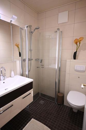 a bathroom with a shower and a sink and a toilet at Ferienwohnung Veras Kate in Greetsiel