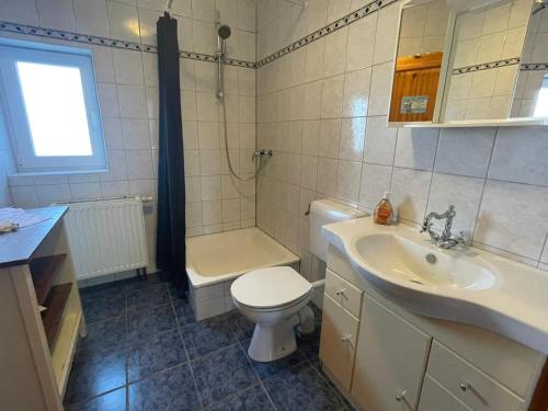 a bathroom with a toilet and a sink at Immensee App H in Ehst