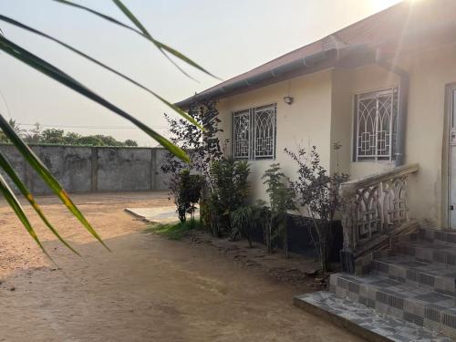 a house with a palm tree in front of it at Theresa Lodge. in Port Loko