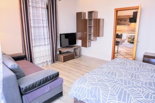 a bedroom with a bed and a couch and a television at Apartment Stefica in Crveni Vrh