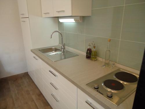 a small kitchen with a sink and a counter top at Apartments Ana in Savudrija