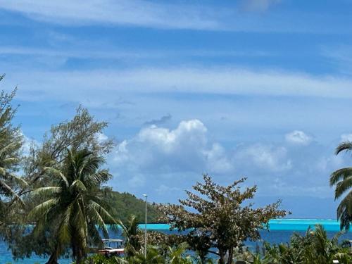 a view of the ocean from a resort with palm trees at Secret Pearls by Matira Beach in Bora Bora