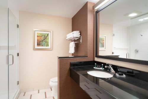 a bathroom with a sink and a mirror and a toilet at Fairfield Inn & Suites by Marriott DuBois in DuBois