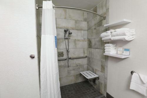 Koupelna v ubytování Hampton Inn Dyersburg