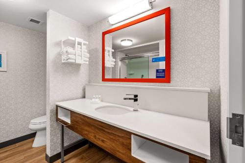 a bathroom with a sink and a mirror at Hampton Inn & Suites Fairbanks in Fairbanks