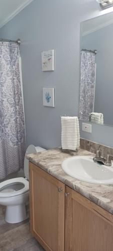 W łazience znajduje się umywalka, toaleta i lustro. w obiekcie Secluded lodge in the woods. w mieście Iron Mountain