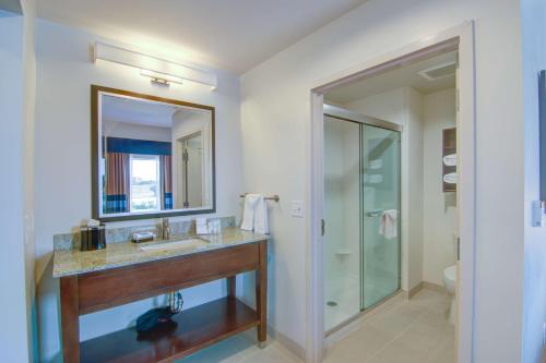 a bathroom with a sink and a mirror and a shower at Hampton Inn and Suites Trophy Club - Fort Worth North in Trophy Club