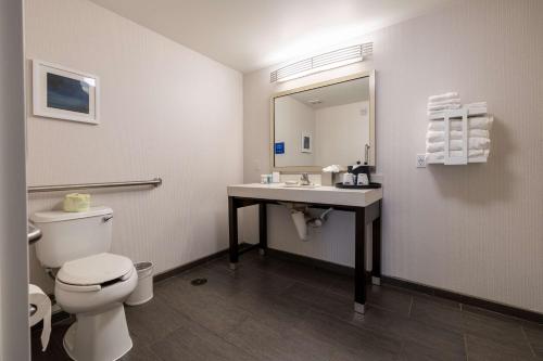Ванная комната в Hampton Inn & Suites Greensboro/Coliseum Area