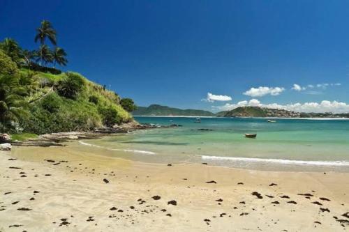a beach with a palm tree and the ocean at Praia de Geribá e piscina para sua família! in Búzios