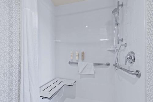 a bathroom with a shower and a shower curtain at Hampton Inn & Suites Greeley in Greeley