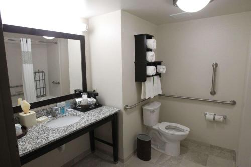 a bathroom with a toilet and a sink and a mirror at Hampton Inn & Suites Seneca-Clemson Area in Seneca