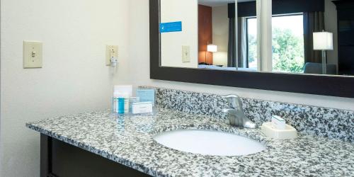 a bathroom counter with a sink and a mirror at Hampton Inn & Suites Seneca-Clemson Area in Seneca