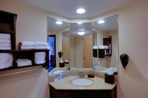 La salle de bains est pourvue d'un lavabo et d'un grand miroir. dans l'établissement Hampton Inn Harrisburg/Grantville/Hershey, à Grantville