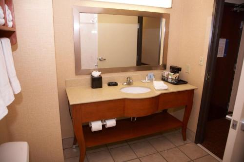 a bathroom with a sink and a mirror at Hampton Inn & Suites Hobbs in Hobbs
