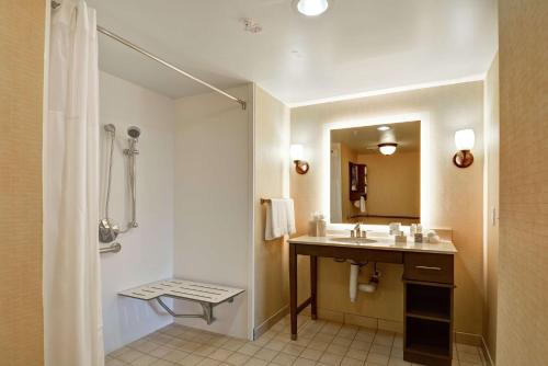 a bathroom with a sink and a shower and a mirror at Homewood Suites by Hilton Houston Near the Galleria in Houston