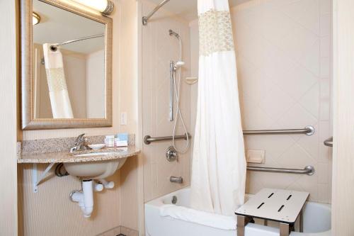 a bathroom with a sink and a shower curtain at Hampton Inn Jacksonville in Jacksonville