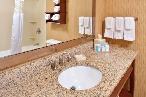 ein Badezimmer mit einem Waschbecken und einem großen Spiegel in der Unterkunft Hampton Inn Idaho Falls / Airport in Idaho Falls