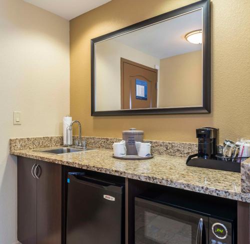 a bathroom with a sink and a mirror at Hampton Inn & Suites Jacksonville South - Bartram Park in Jacksonville