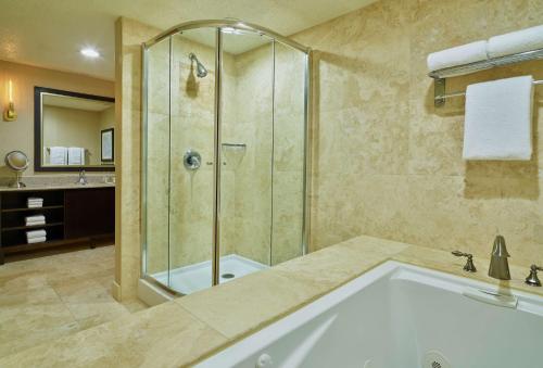 a bathroom with a tub and a shower at DoubleTree by Hilton Houston Intercontinental Airport in Houston