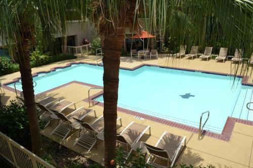 a large swimming pool with chairs and a palm tree at DoubleTree by Hilton Hotel Houston Hobby Airport in Houston