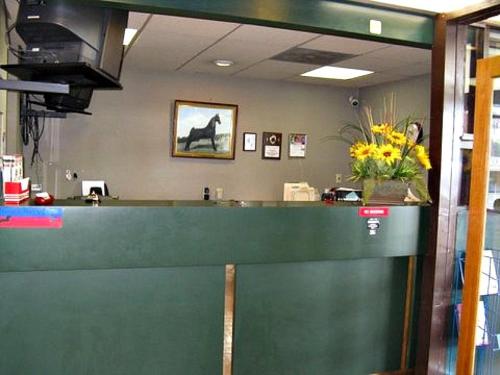 an office with a green counter with flowers on it at Walking Horse Lodge in Lewisburg