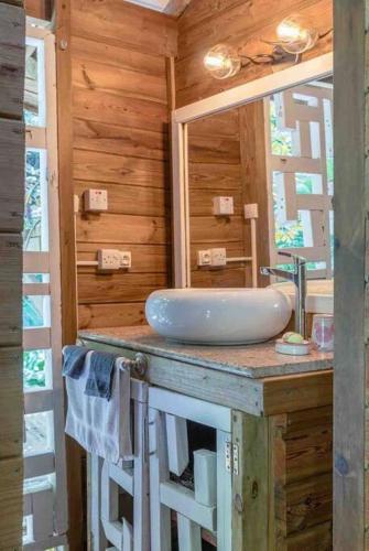 a bathroom with a sink and a mirror at Sizo Treehouse Cottage in Roseau