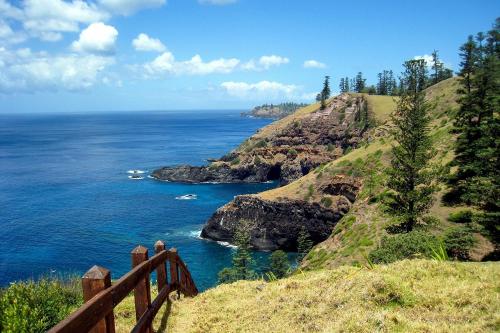 a view of the ocean from a hill with trees at Saints Apartment - Free unlimited WIFI in Burnt Pine