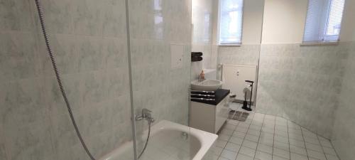 a bathroom with a shower with a sink and a urinal at Apartment Cottbus City - Erdgeschoss in Cottbus