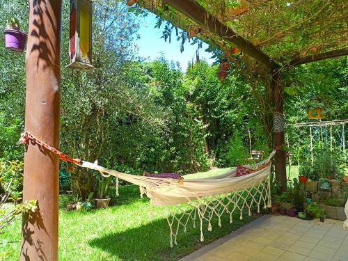 a hammock hanging from a pergola in a garden at Hermosa casa en barrio parque. in Mar del Plata