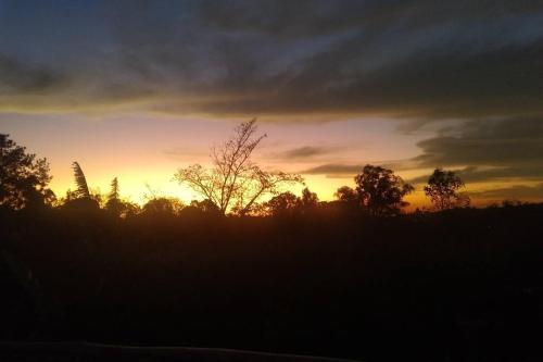 a sunset in a field with a tree at Casa de campo (chácara) em Louveira in Louveira