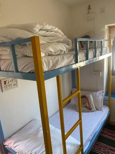 a couple of bunk beds in a room at Blue Eye Hostel in Jaisalmer