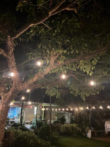 a group of lights in a yard at night at Niuniu & Meng Ka Homestay in Liugui