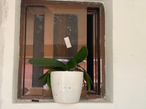 a plant in a pot sitting in a window at AEROPARK RESIDENCIAL2 in Maputo